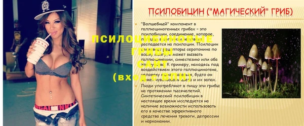 синтетический гашиш Балахна