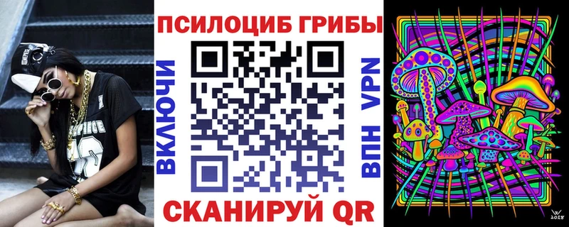 Псилоцибиновые грибы мухоморы  купить наркоту  omg ТОР  Кувандык 